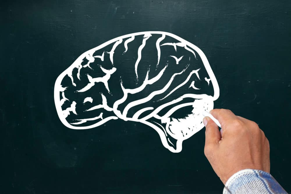 No Brainers I Didn’t Have the Brains to Think of Myself.