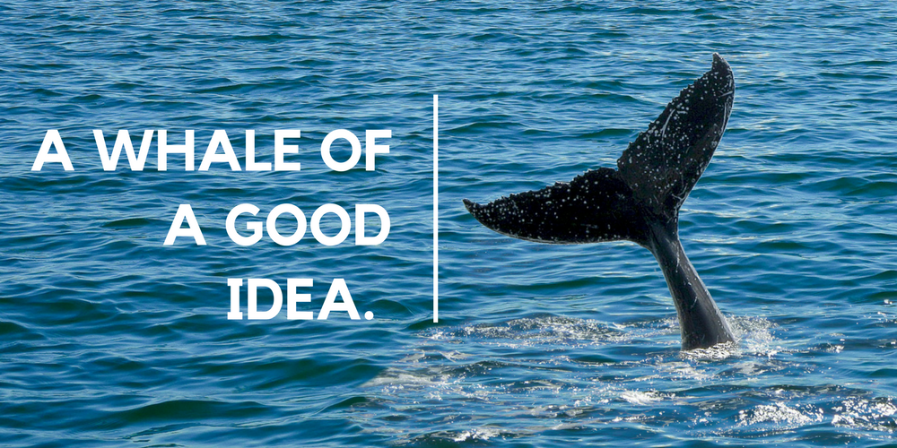 A Whale of a Good Idea