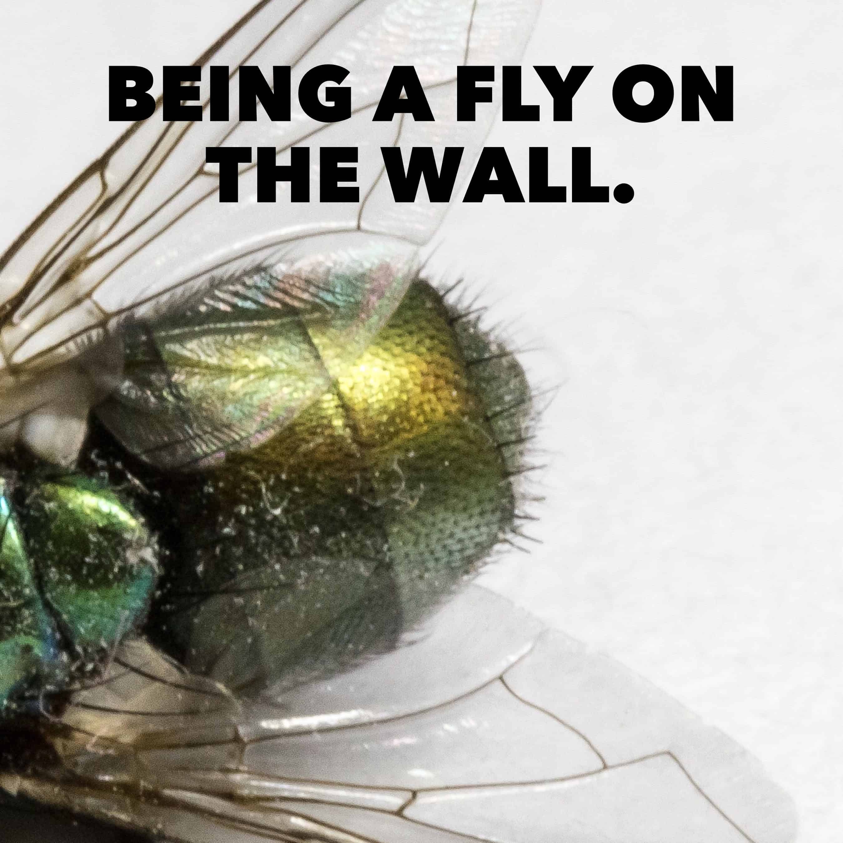 Being a Fly on the Wall Bruce Turkel