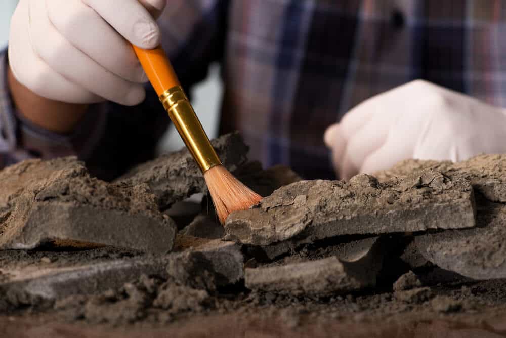 Lessons from the Tar Pit