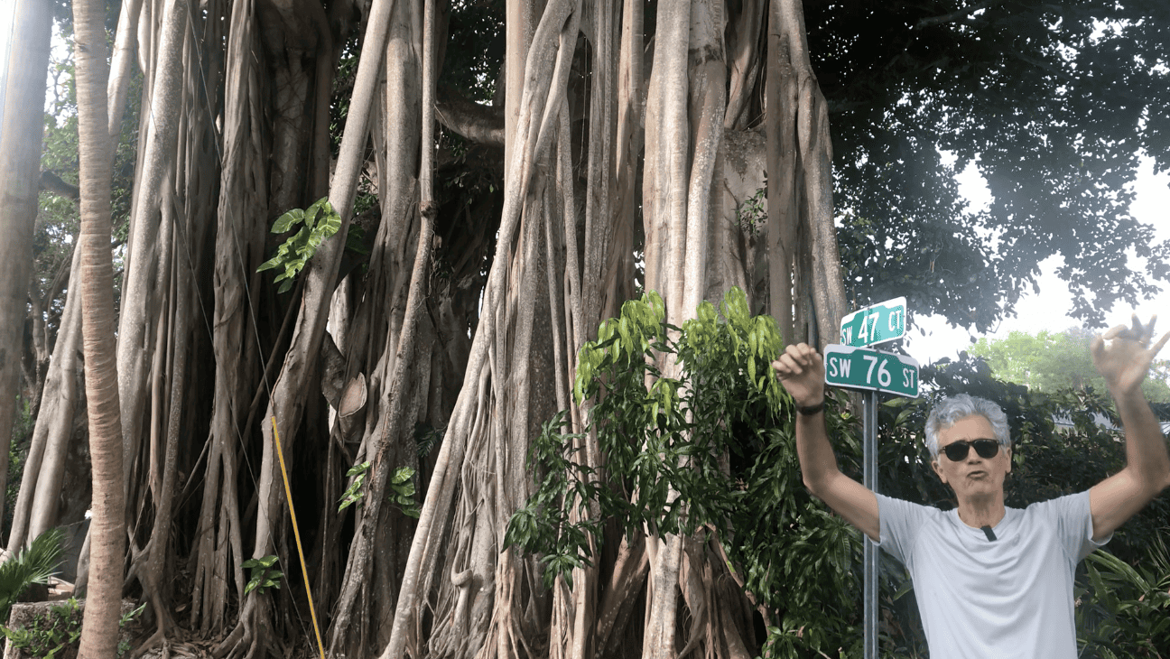 Build Your Brand like a Banyan Tree