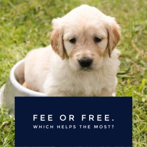 Fee or Free? Which Helps The Most?