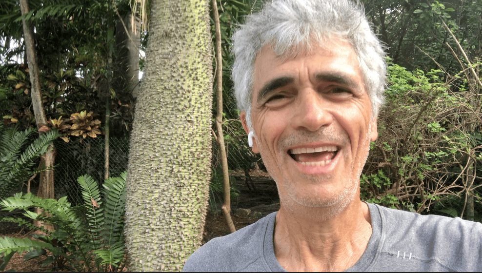 Why is your business like a ciba tree?