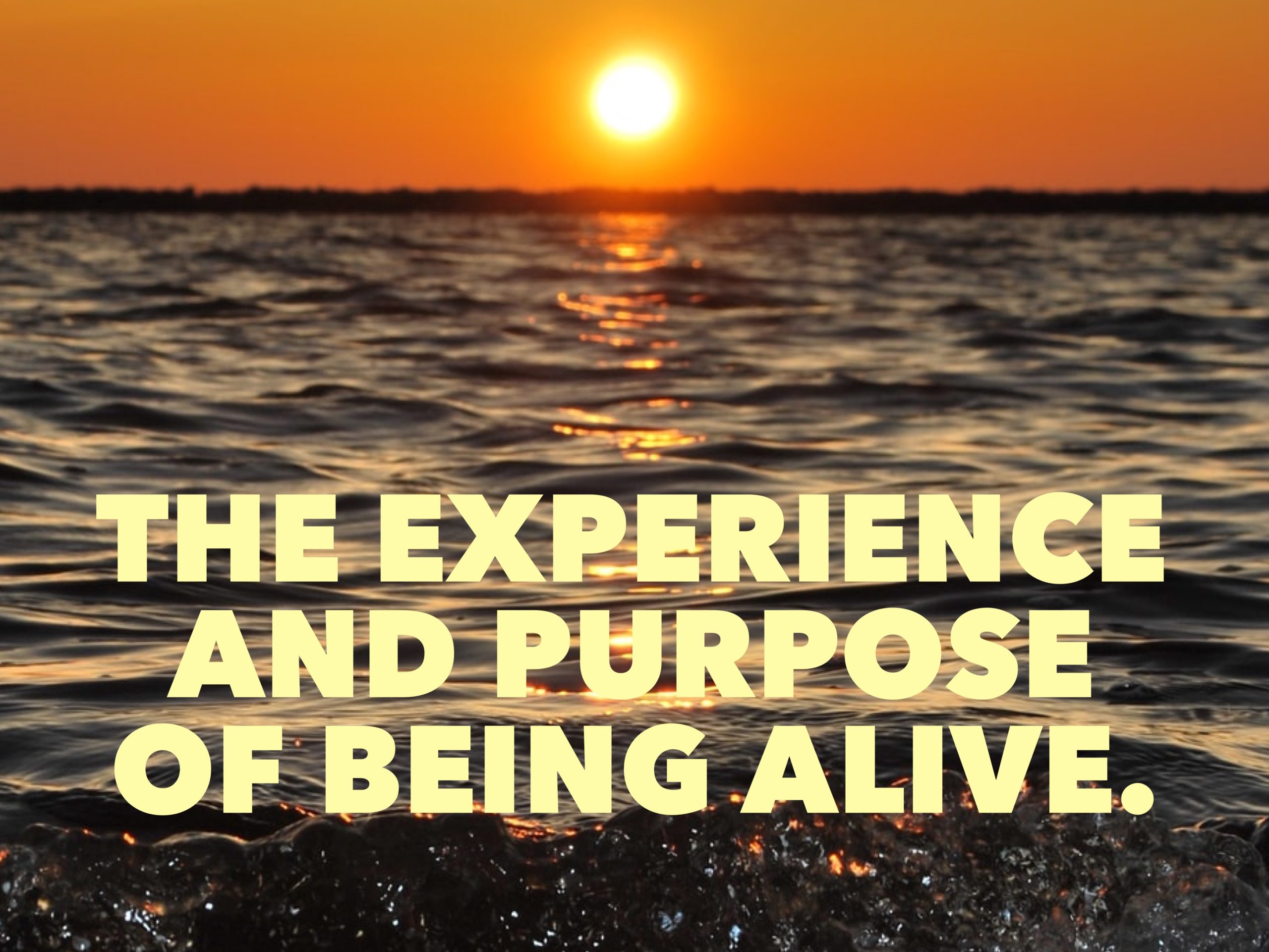 The Experience and Purpose of Being Alive