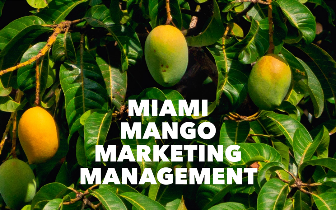 Marketing Management with Mangos