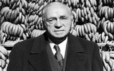 The Brand Strategy After Success. How to Keep Winning.